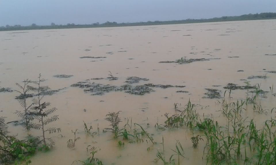 Imagem ilustrativa: Lagoa do Mocambo- Malhada.