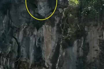 Imagem fotografada por Gilvan Barros