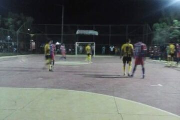 Arriba Saia x Canabrava