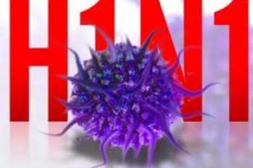 H1N1
