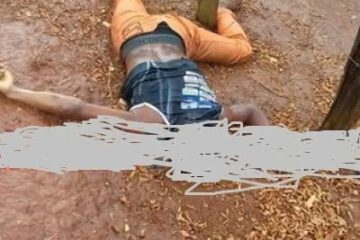 Foto para divulgação