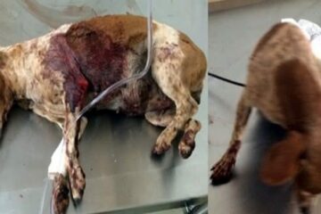 Foto: Jorge Santana / Sudoeste Bahia