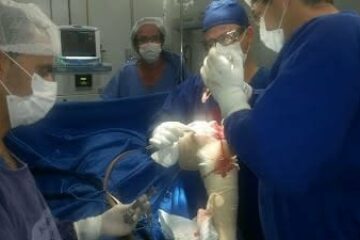 Crédito:Blog Latinha