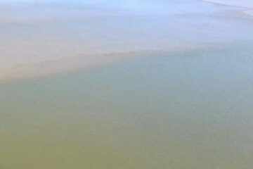 Rio São Francisco: foto enviada por leitor do portal