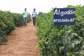 Evento no Centro Experimental/foto ASCOM