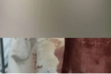 Imagem divulgada nas redes sociais