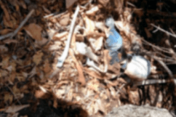 Foto: Gilson Alves/reprodução Sudoeste Bahia