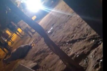 Foto:Cotidiano Policial