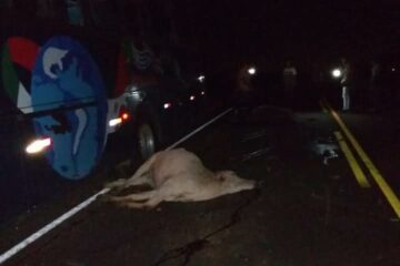 Foto enviada por leitor Folha do Vale