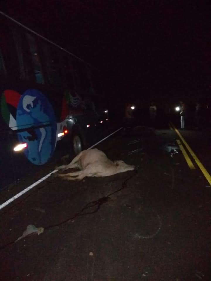 Foto enviada por leitor Folha do Vale