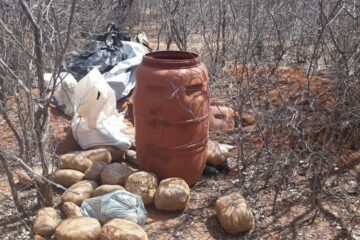 Foto: Divulgação/PC