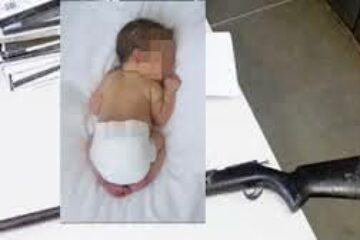 Reprodução: Bocão