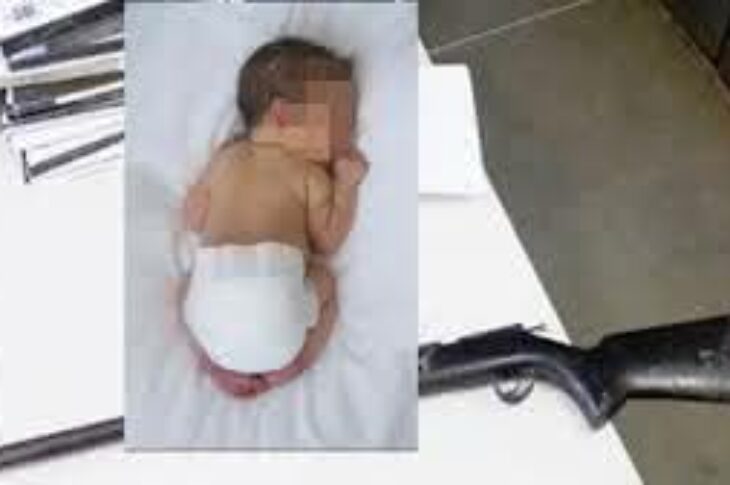 Reprodução: Bocão