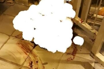 Reprodução:Cotidiano Policial