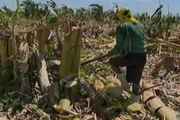 Foto: Reprodução InterTV