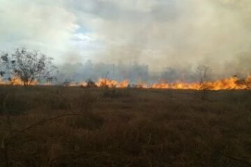 Foto: Edson Nunes / TV Sudoeste