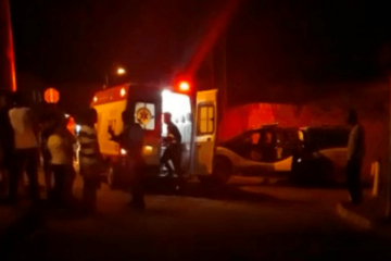 Reprodução rede social