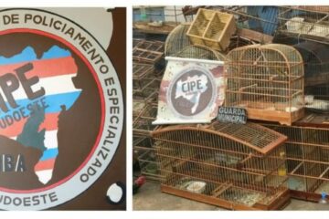 Foto:Cipe Sueste Gaiolas