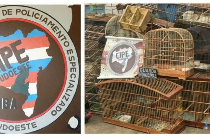 Foto:Cipe Sueste Gaiolas