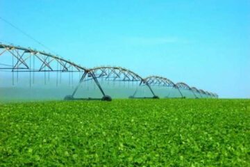 O projeto de irrigação do Vale do Iuiú,no Sudoeste da Bahia,será debatido na terça-feira (10), em Brasília. Foto: Reprodução O Popular