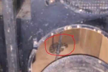 Imagem da cobra Cascavel no interior de uma caixa de som na comunidade do Alto Bonito, zona rural de Malhada. Foto:Enviada por leitor Folha do Vale.