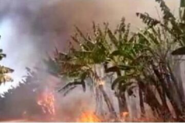 O fogo atingiu o Setor 7 do projeto Formoso H,em Bom Jesus da Lapa,no Oeste da Bahia. Foto:Bom Jesus da Lapa Noticias.