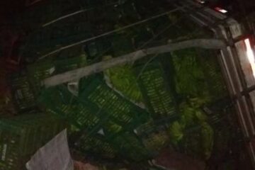 Caminhão tomba na BR-030,em Palmas de Monte Alto.Foto:Marcos Paulo