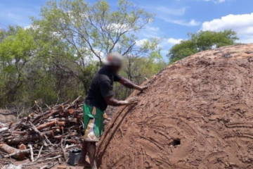 Catorze trabalhadores de Palmas de Monte Alto, na Bahia, foram resgatados na cidade de São José do Peixe, no estado Piauí. Foto: Reprodução Sudoeste Digital