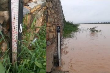 Nível do São Francisco em Carinhanha.Foto: reprodução.