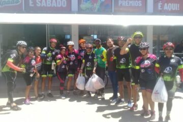 Alimentos arrecadados.