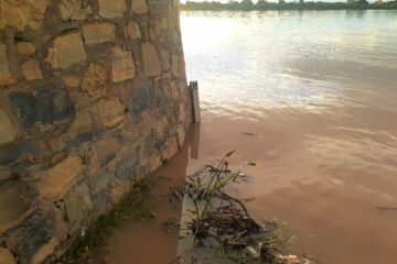 Nível do São Francisco chega a 5,53 metros.Foto: Zé Castor.