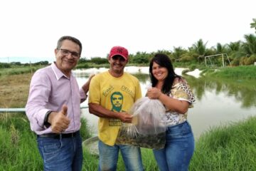 Distribuição de alevinos em Serra do Ramalho.Foto: Tony Filardi.