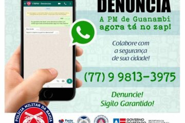 Whatsapp denúncia. Foto: divulgação.