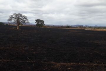 Incêndio consome área de mais de 10 hectares. Foto: SMTRAN.