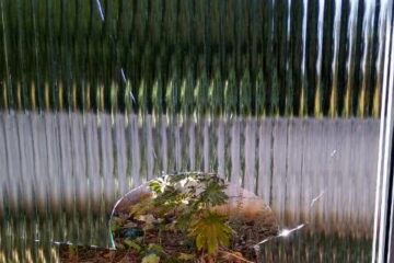 Vidro quebrado na unidade do PSF da Agrovila 23. Foto: Secretaria.