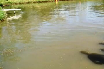 Imagem meramente ilustrativa