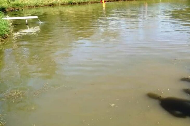 Imagem meramente ilustrativa