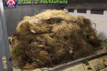 Polícia apreende rede de pesca em Malhada. Foto: PM.