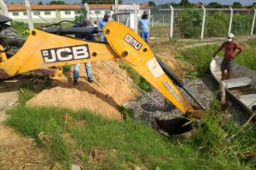 Peixes sendo retirados da lagoa da Sudene. Foto: ASCOM.