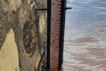 Nível do Rio São Francisco, em Carinhanha. Foto: PM.