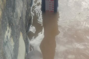 Nível do Velho Chico- Foto: Zé Castor.