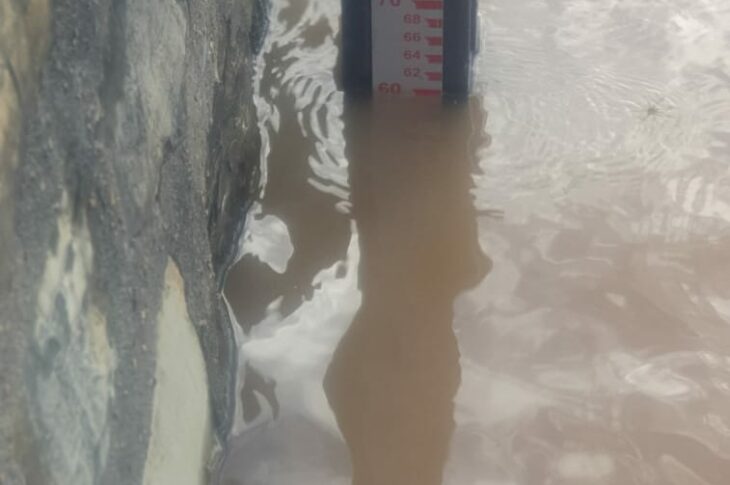 Nível do Velho Chico- Foto: Zé Castor.