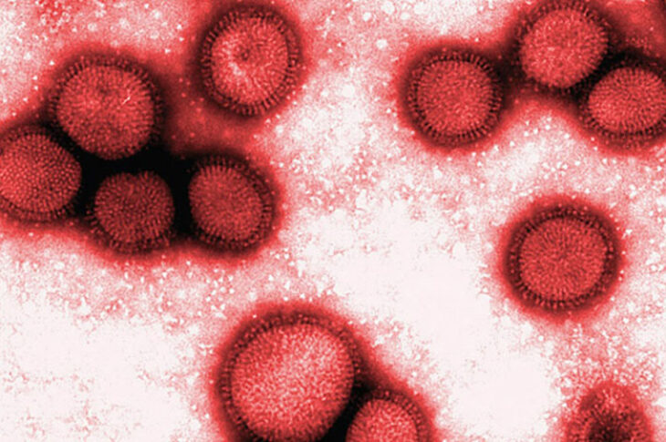 H3N2. Imagem reprodução.