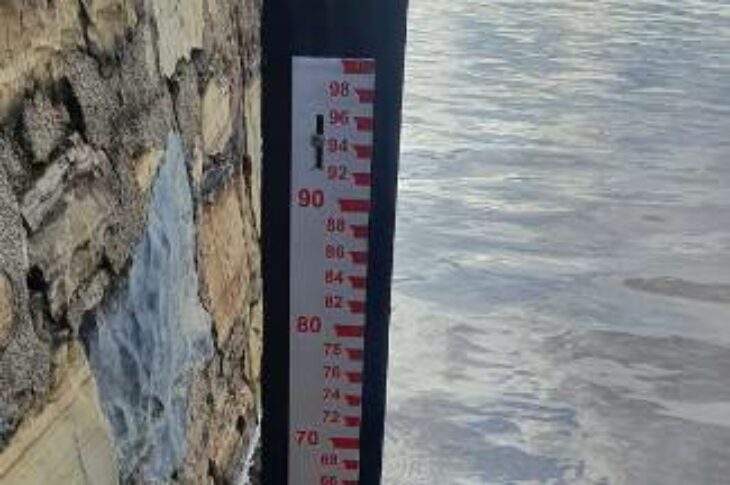 Nível do Rio São francisco, sexta-feira, 7 de janeiro. Foto: Zé Castor.