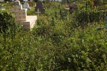 Moradores denunciam falta de limpeza e descaso no cemitério municipal de Guanambi. Foto: Leitores.