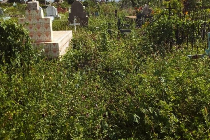 Moradores denunciam falta de limpeza e descaso no cemitério municipal de Guanambi. Foto: Leitores.