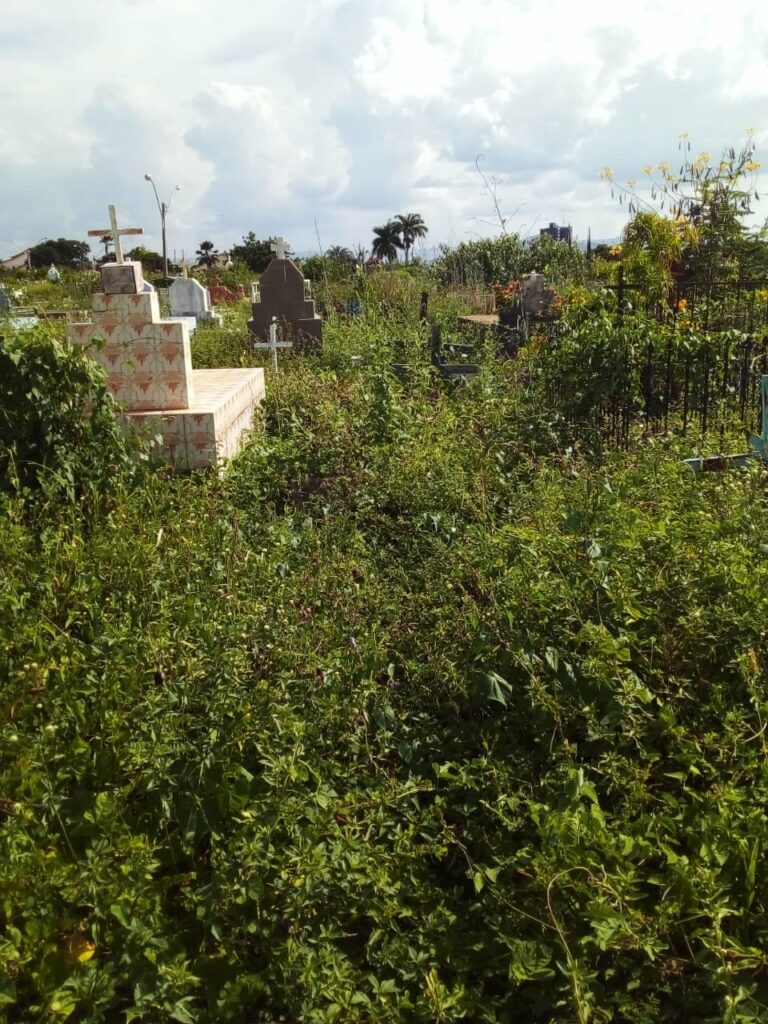 Moradores denunciam falta de limpeza e descaso no cemitério municipal de Guanambi. Foto: Leitores.