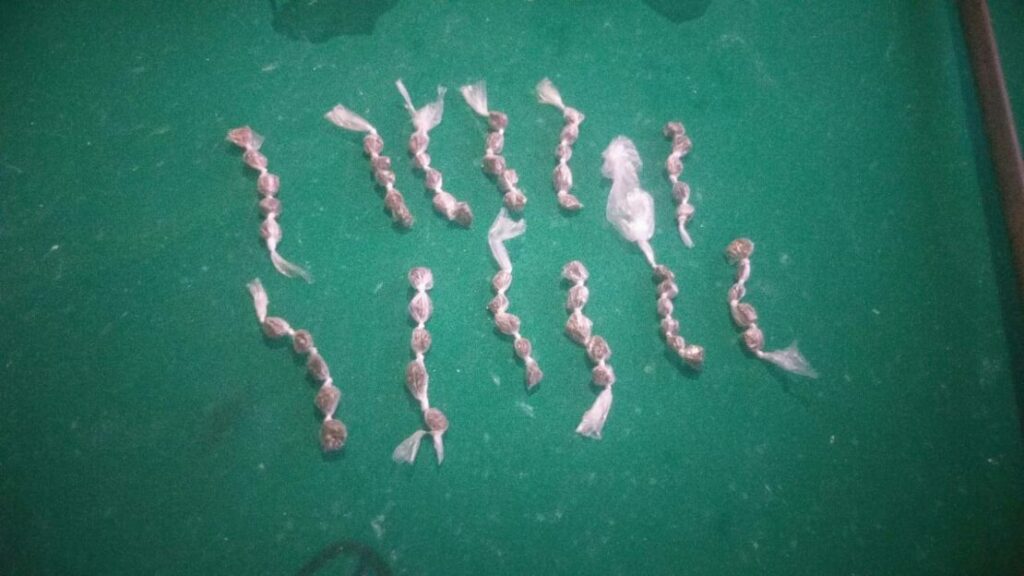 Drogas apreendidas com o quarteto em Guanambi. Foto: PM.