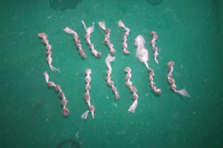 Drogas apreendidas com o quarteto em Guanambi. Foto: PM.