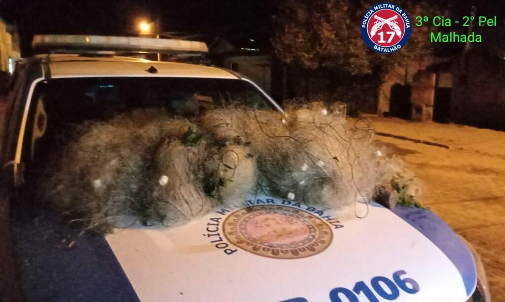 Polícia apreende rede de pesca em Malhada. Foto: PM.